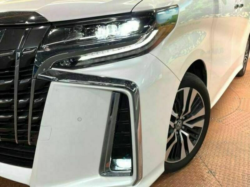 ALPHARD-15