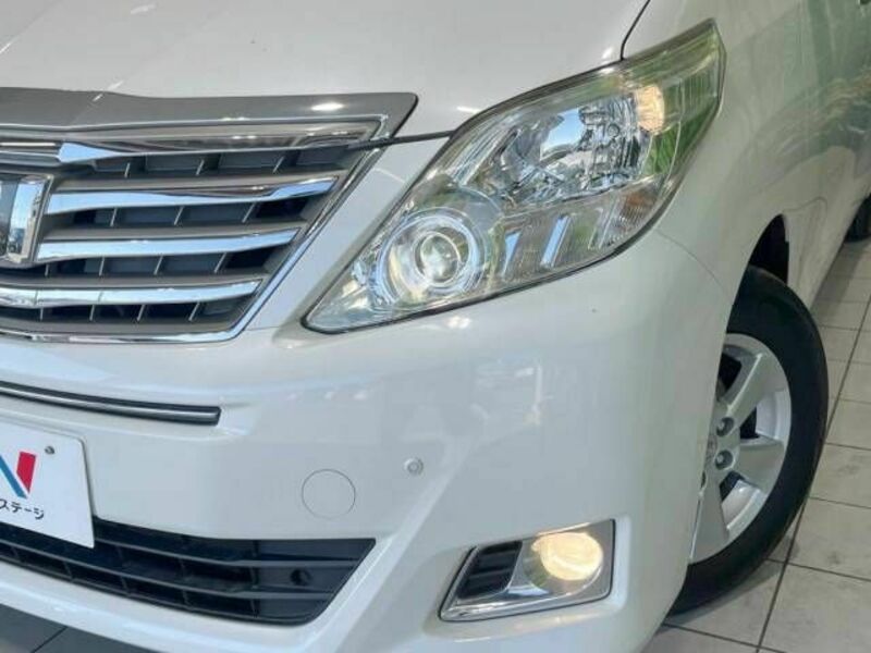 ALPHARD-13