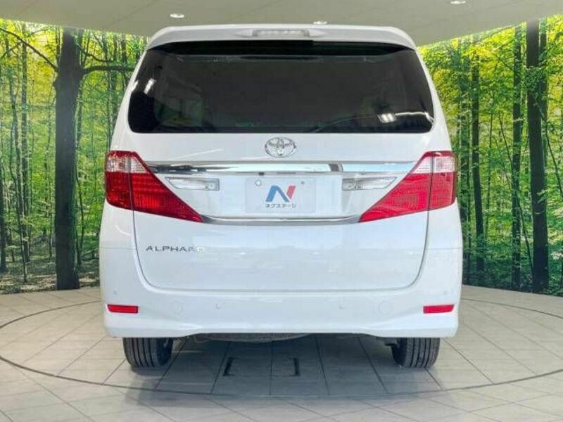 ALPHARD-16