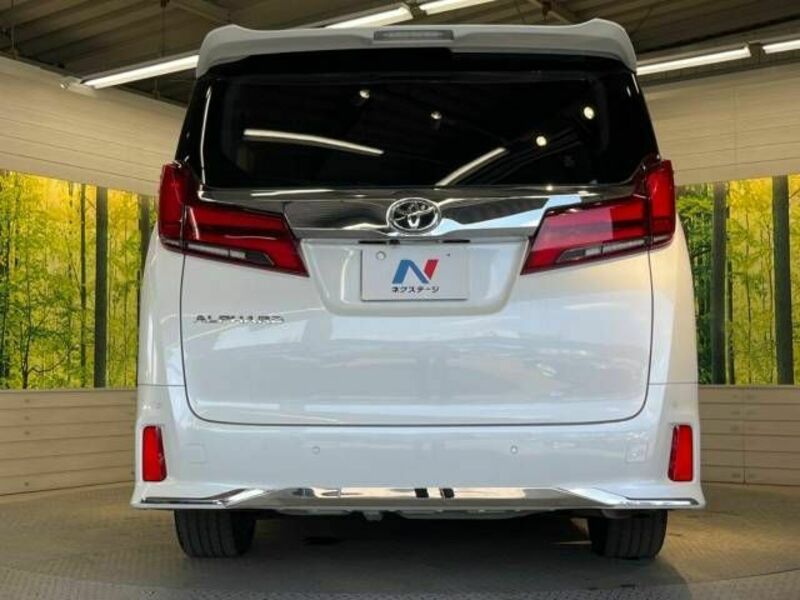 ALPHARD-16