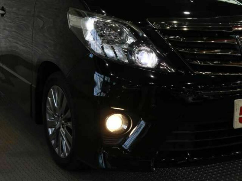 ALPHARD-10