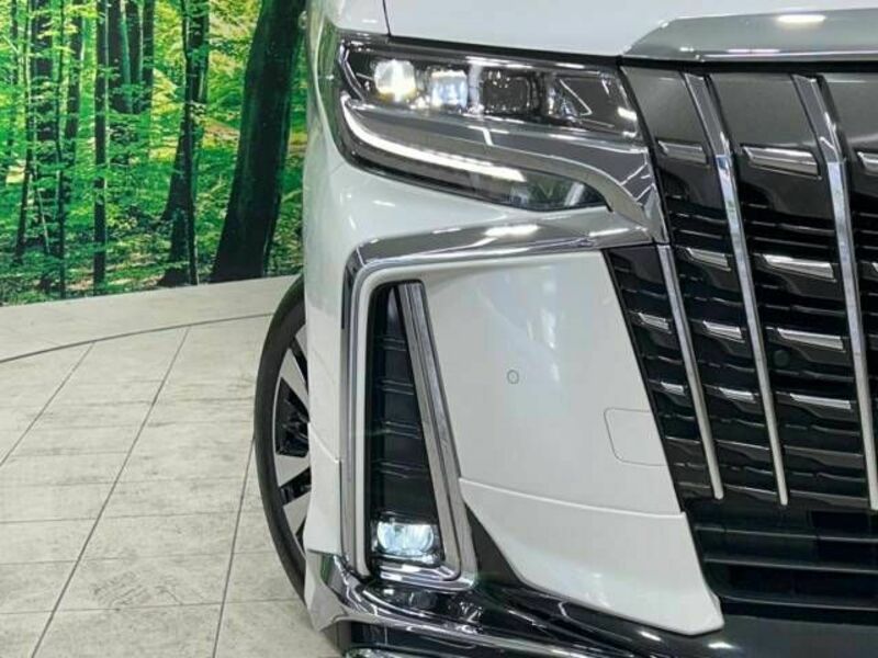 ALPHARD-12