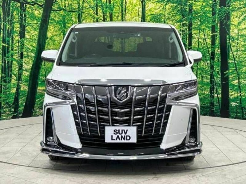 ALPHARD-14