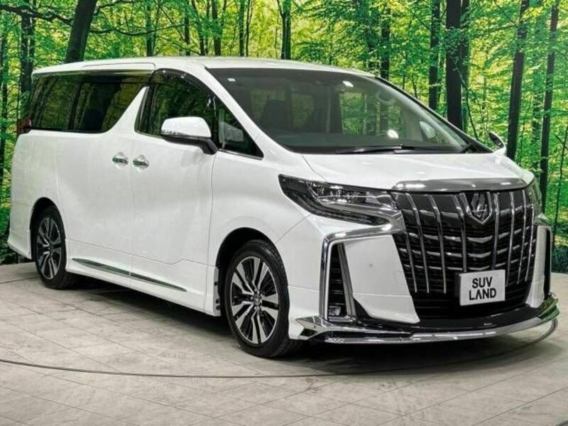 ALPHARD-16