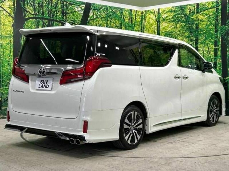 ALPHARD-17