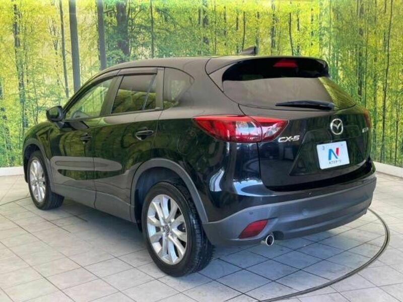 CX-5-17