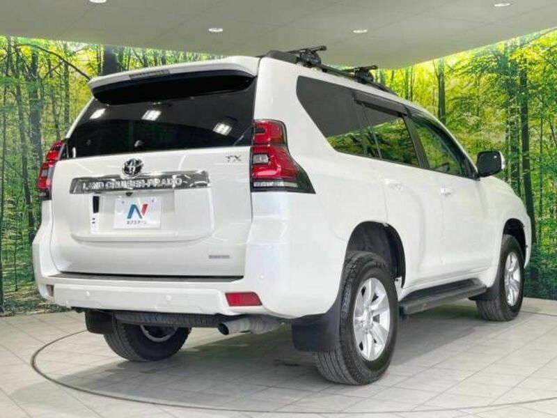 LAND CRUISER PRADO-18