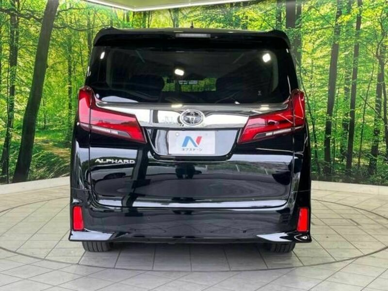 ALPHARD-16