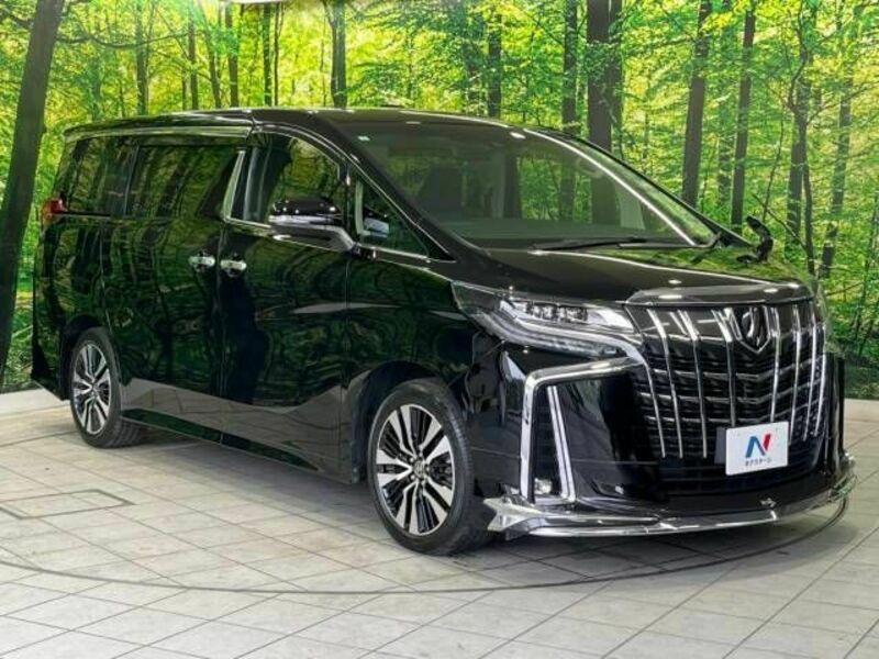 ALPHARD-17