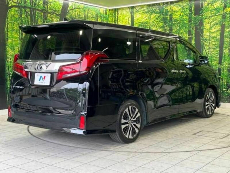 ALPHARD-18