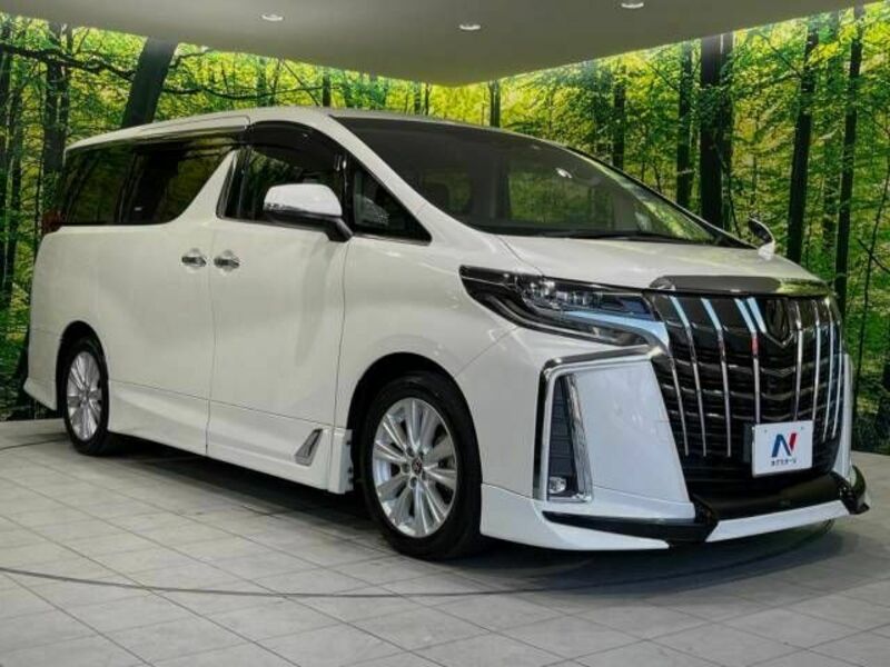 ALPHARD-16