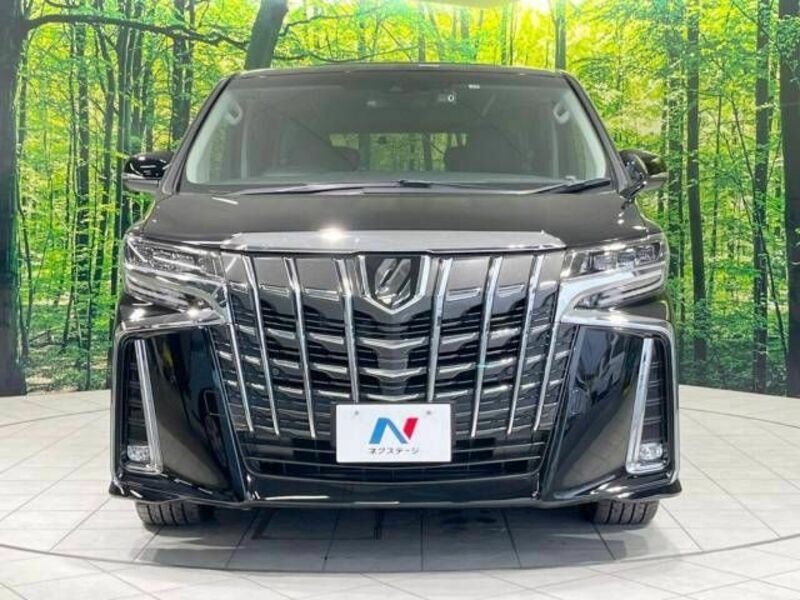 ALPHARD-15