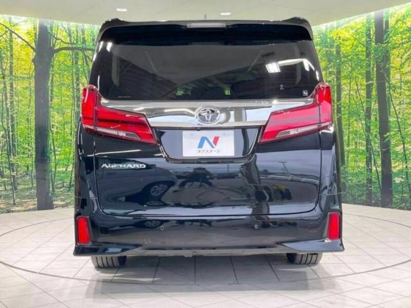 ALPHARD-16