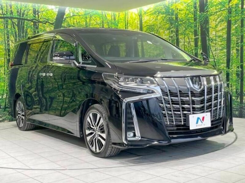 ALPHARD-17