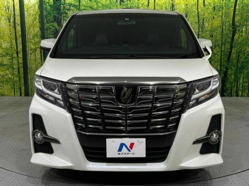 ALPHARD-15