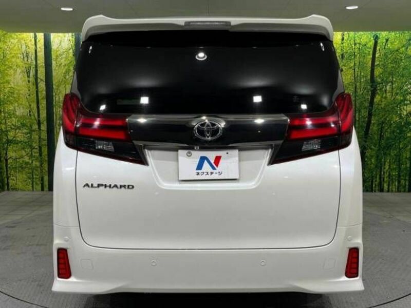 ALPHARD-16