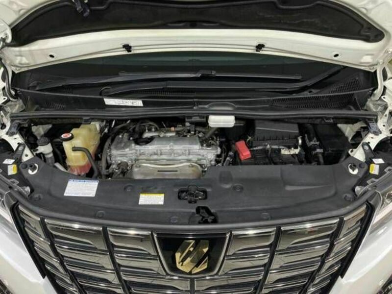 ALPHARD-18