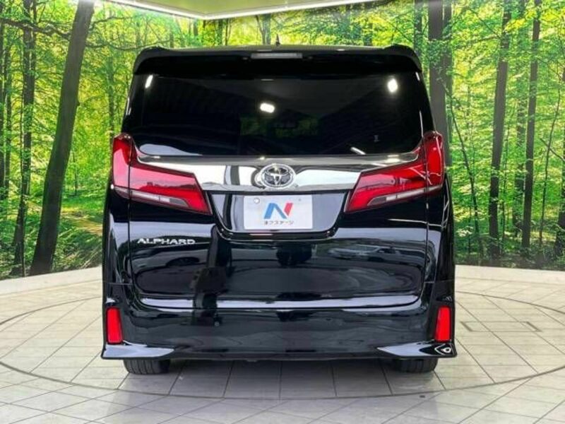 ALPHARD-16