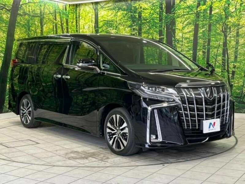 ALPHARD-17