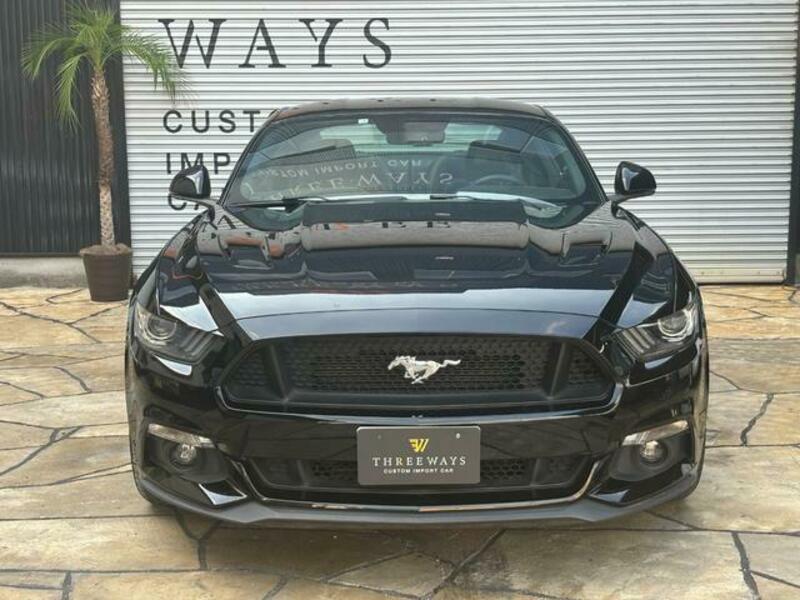 MUSTANG-6