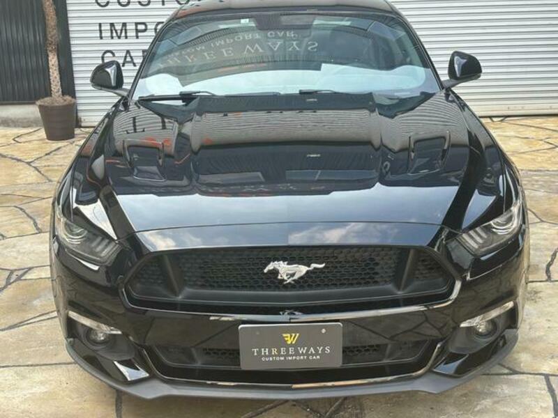 MUSTANG-9