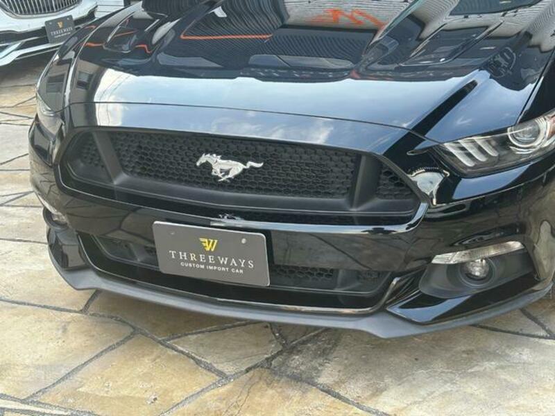 MUSTANG-10