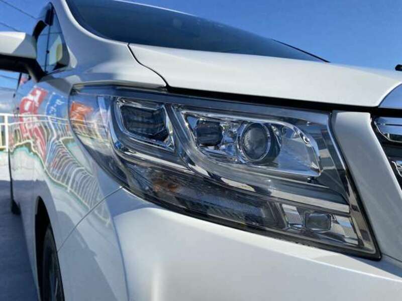 ALPHARD-10