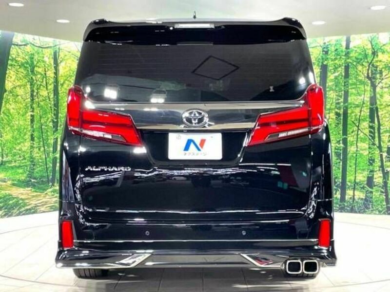 ALPHARD-16