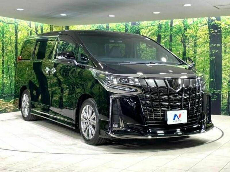 ALPHARD-17