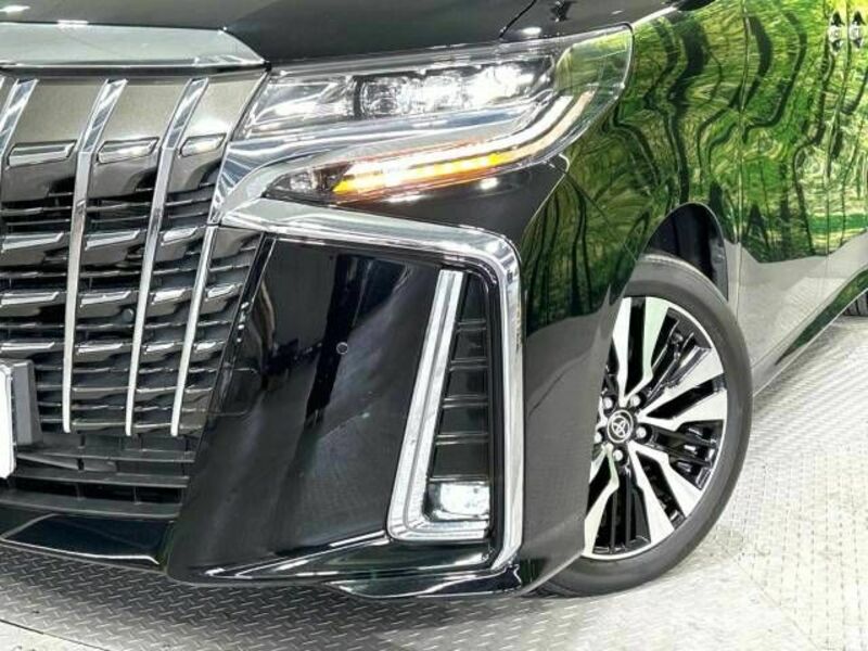 ALPHARD-13