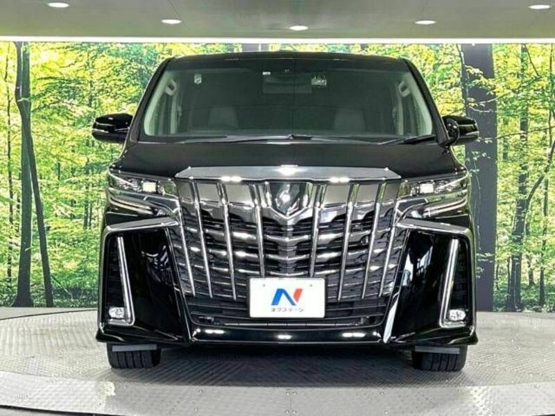 ALPHARD-15