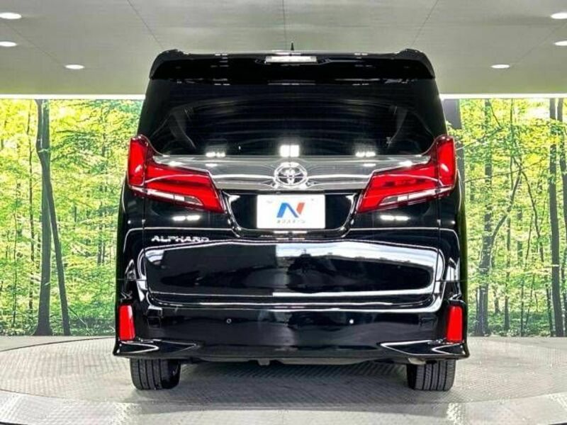 ALPHARD-16