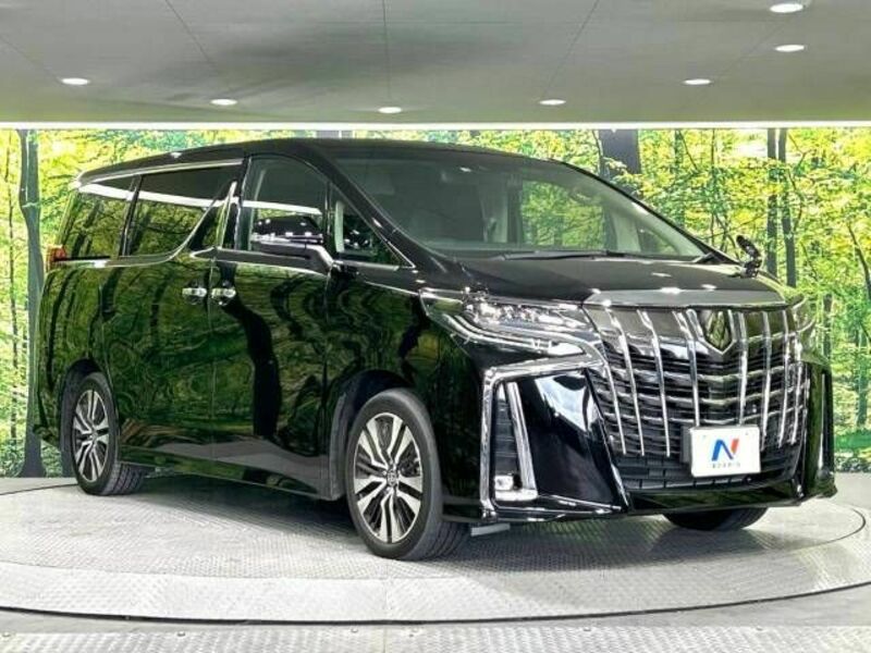 ALPHARD-17