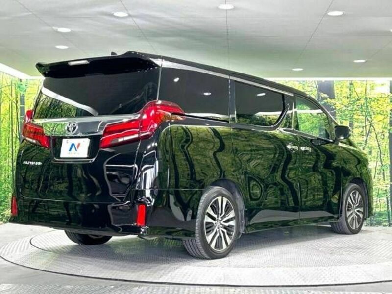 ALPHARD-18