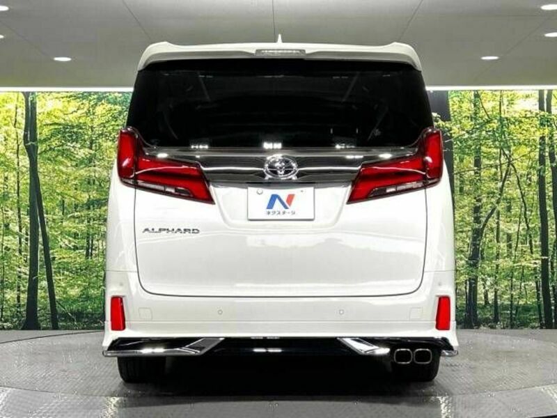 ALPHARD-15