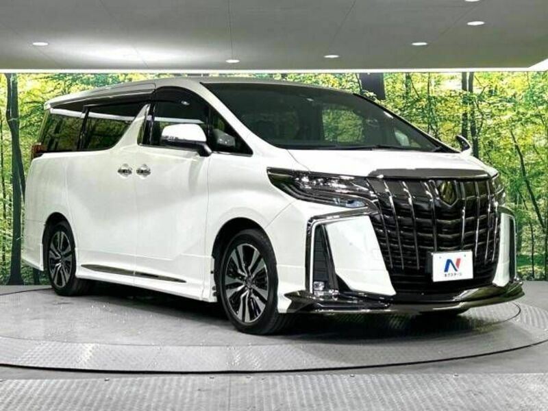 ALPHARD-16