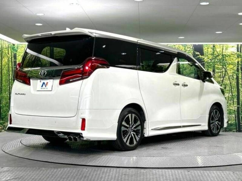 ALPHARD-17