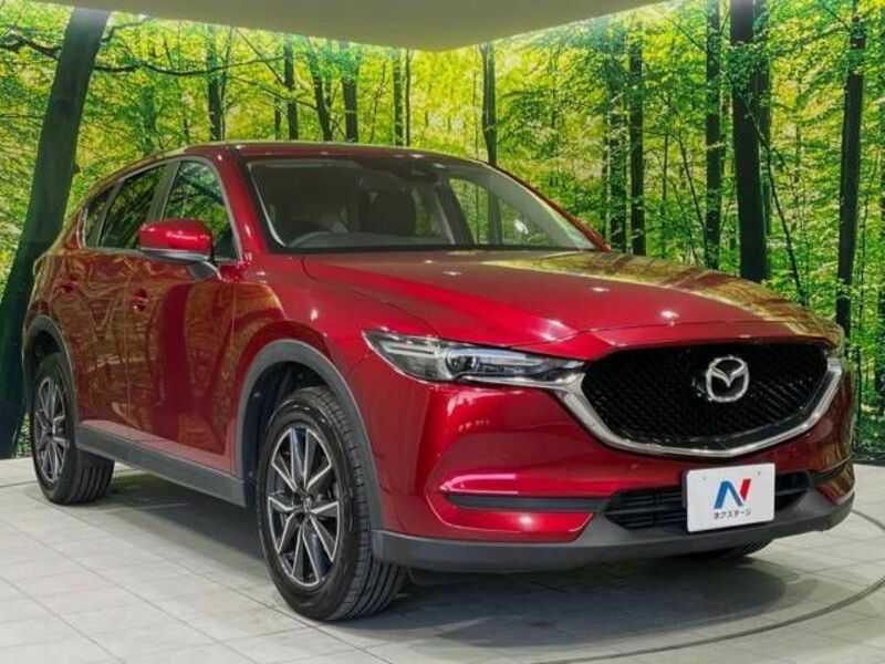 CX-5-17