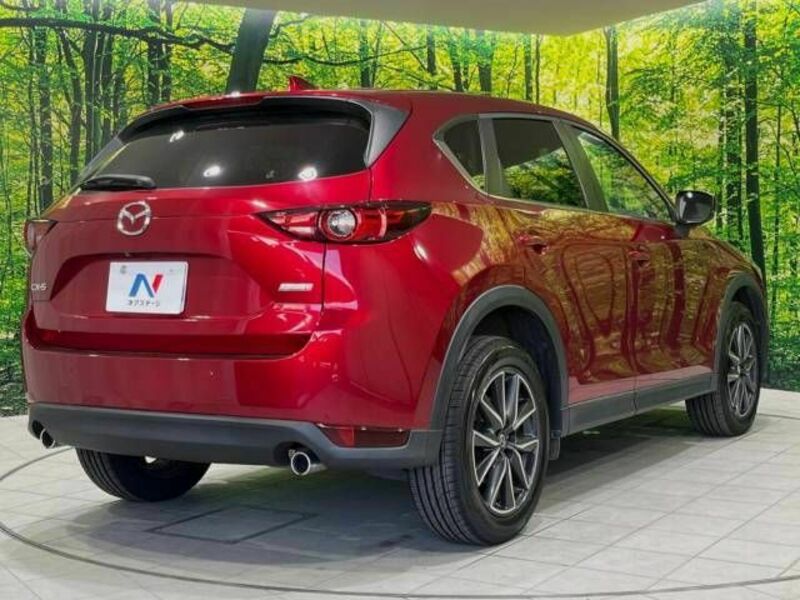 CX-5-18