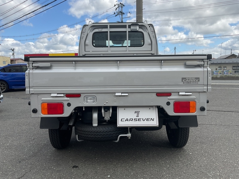 CARRY TRUCK-17