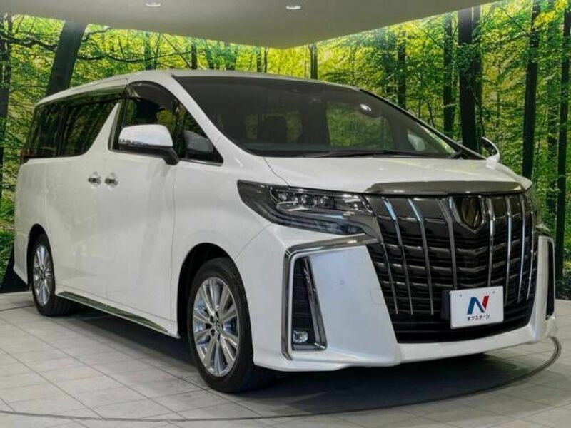 ALPHARD-17