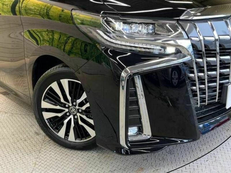 ALPHARD-13