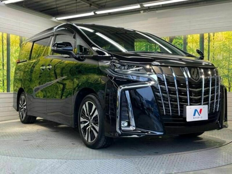 ALPHARD-17