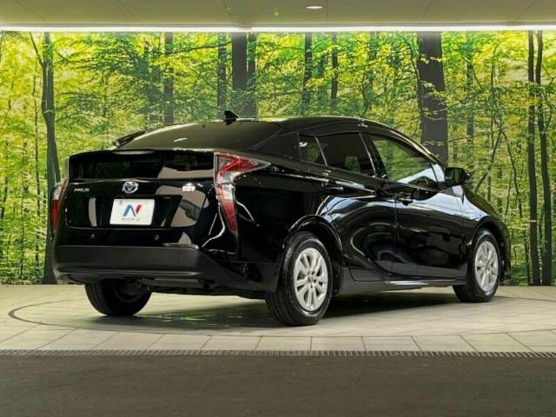 PRIUS-17