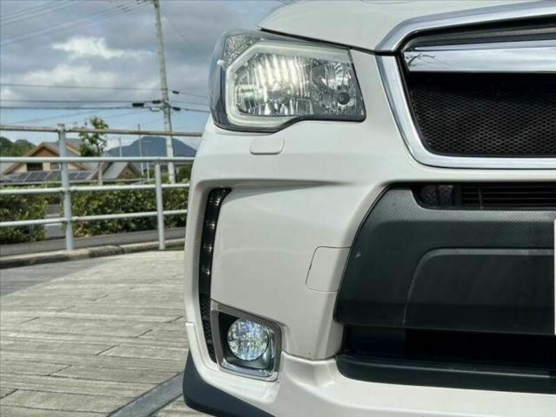 FORESTER-29