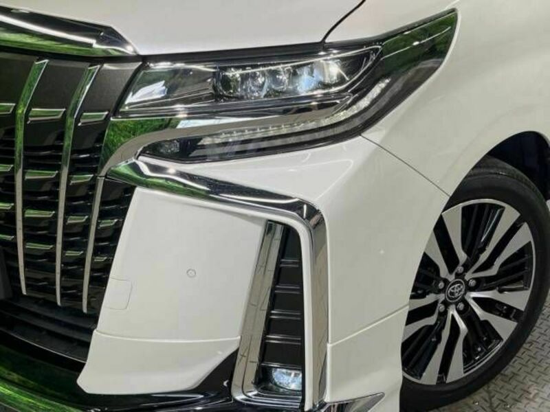 ALPHARD-13