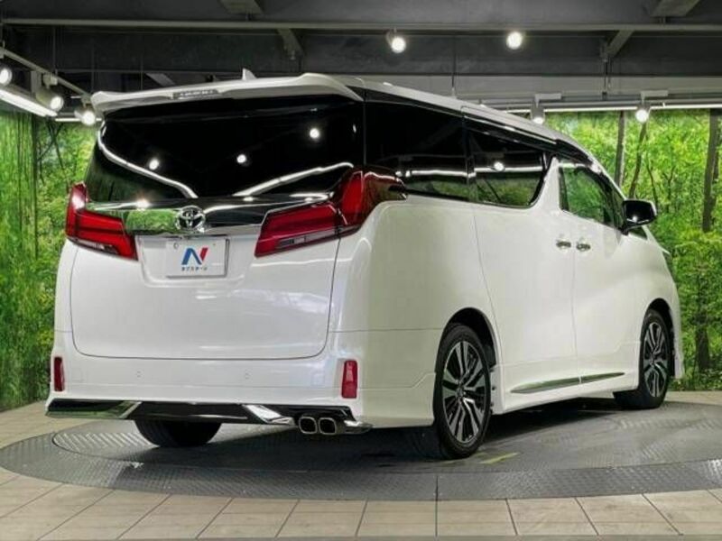 ALPHARD-18