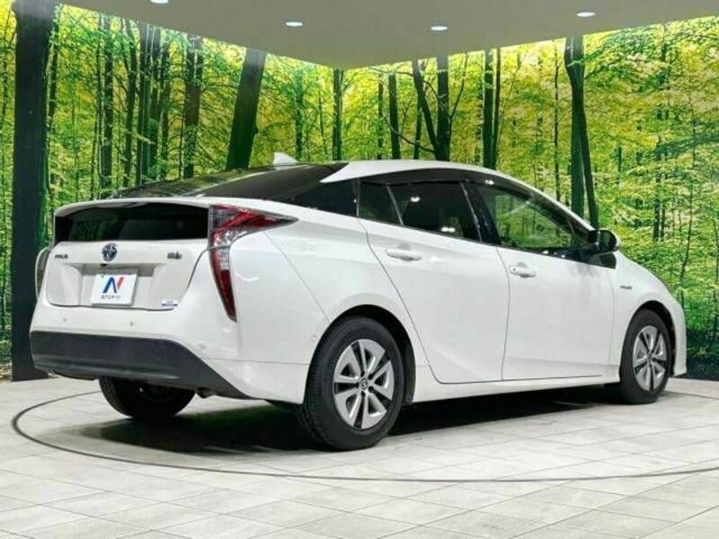 PRIUS-17