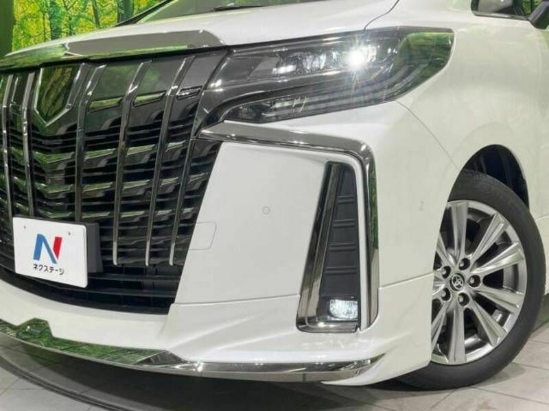 ALPHARD-13