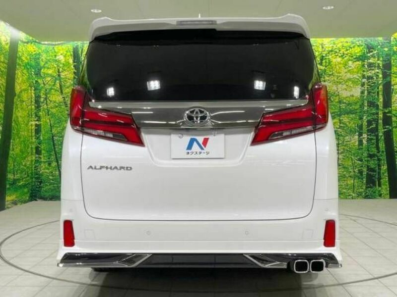 ALPHARD-16